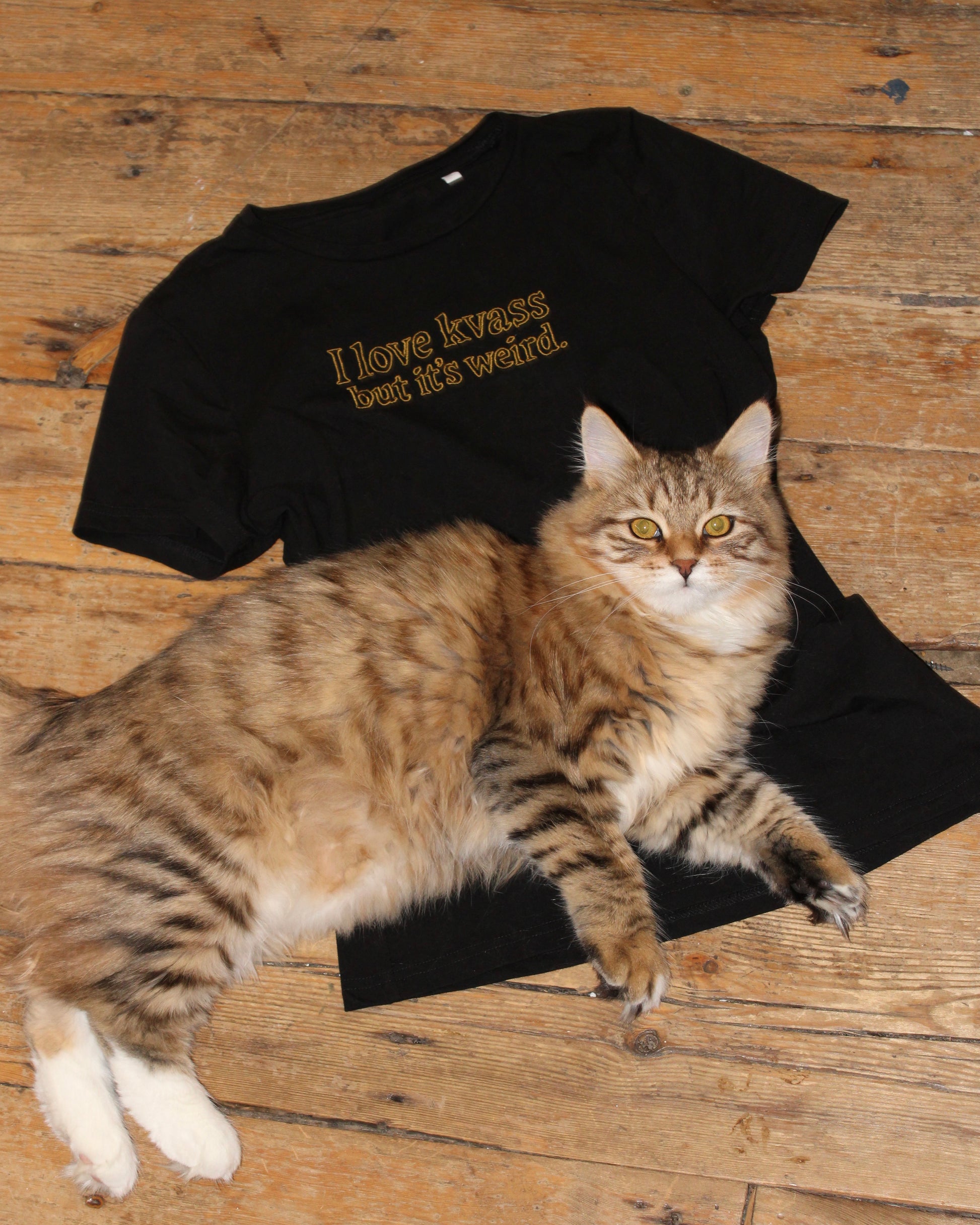 ‘I love kvass but it’s weird’ Embroidered Fitted Ladies Tee